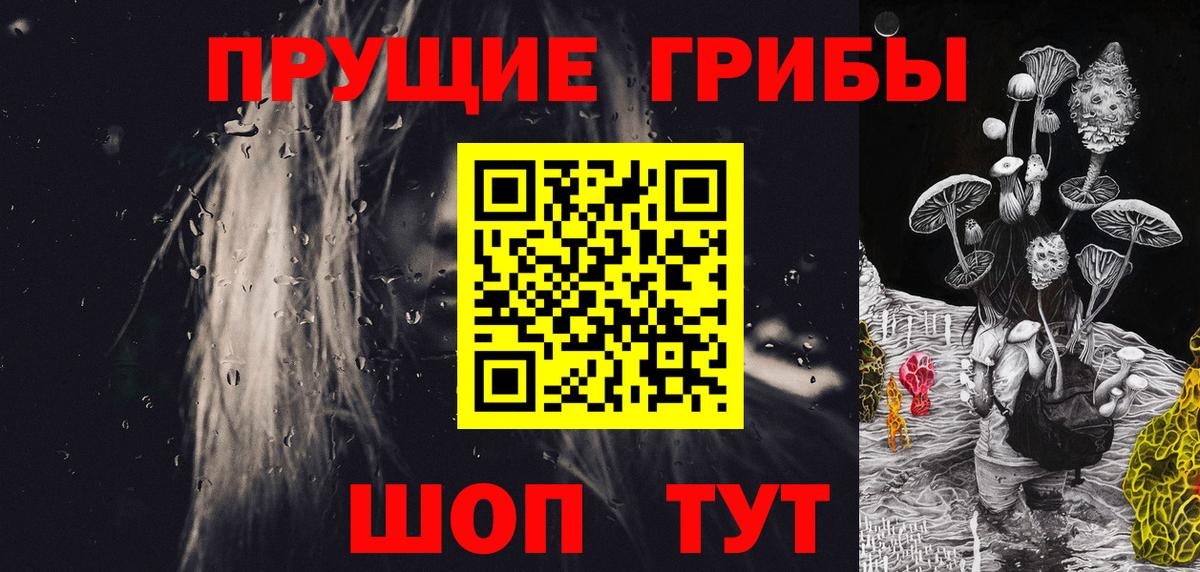 Малгобек  Псилоцибиновые грибы мухоморы  наркошоп  Вход с VPN 